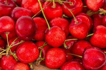 Red sweet cherries on the stems close-up