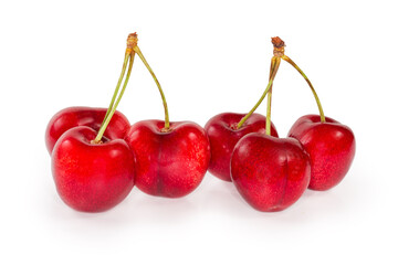 Fototapeta na wymiar Red sweet cherries on twigs on white background close-up