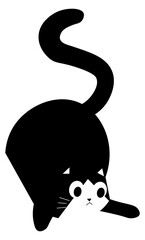 Playful kitty, domestic pet playing, feline animal