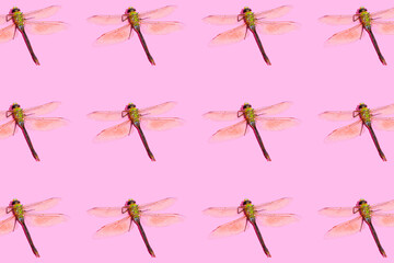 Seamless pattern of colorful dragonflies on pastel pink background. Spring, summer or nature concept. Isometric view.