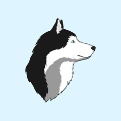 Isolated Beautiful Alaskan Husky Dog. One Head of a Pretty Siberian Husky. Portrait. Side View. Black White and Grey Color. Blue Eyes. Blue background. Vector illustration for Logo and Design.