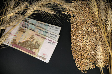 Banknotes of Russian rubles near grains and ears of wheat on a black background