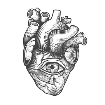 Inner wisdom, sacred all seeing heart. Vector illustration in engraving technique of anatomical human heart with eye in it. 