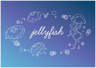 Obraz na płótnie Canvas jellyfish_4