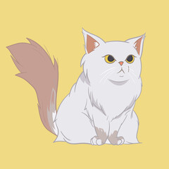 Cute Pet Persian Cat on yellow background. Hand drawn illustration