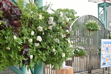 植物園、エントランス、ゲート、入り口、花壇