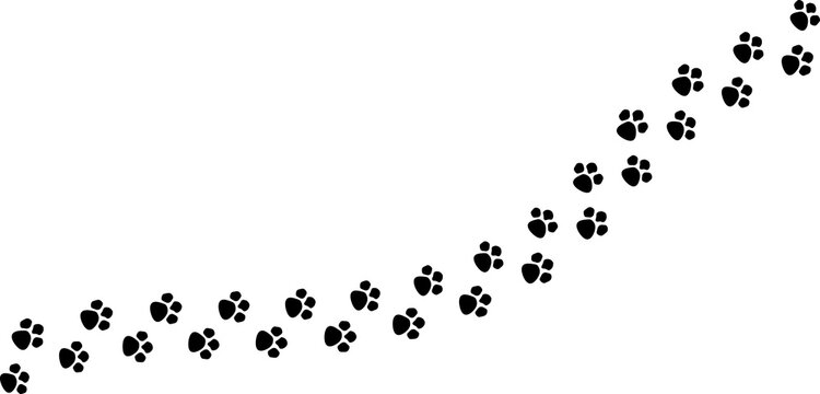 Paw vector foot trail print of cat. Dog, puppy silhouette animal diagonal tracks for t-shirts, backgrounds, patterns, websites, showcases design, greeting cards, child prints and etc