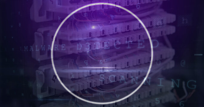Image of scope scanning and data processing over computer server