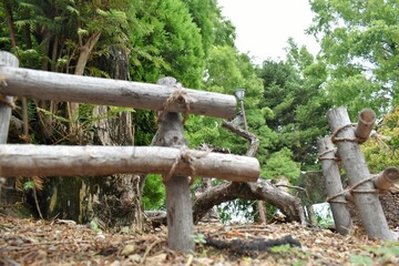 植物園、幸せの鐘、芝生、公園、ログハウス、びわ湖、ロード、石畳