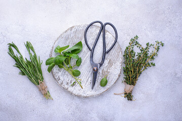 Rosemary, thyme and basil. Fresh garden herbs