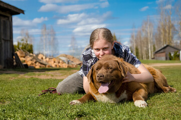 A teenage girl plays with a dog in the yard on a sunny day. Happiness.