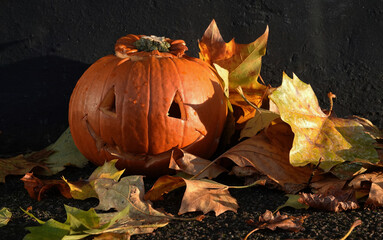 A pumpkin carved for hallowe'en surrounded by autumn leaves. 