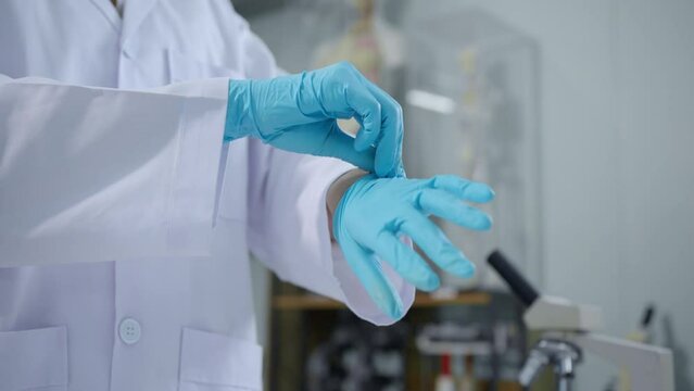Close up of a female scientist or lab researcher in white lab coat putting on blue rubber gloves in her work or research lab