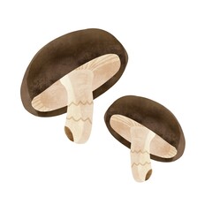 きのこ手描きイラスト　しいたけ