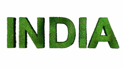 India 3D Greenery Letter Text (3D illustration|3D rendering )