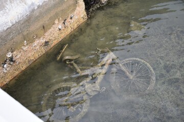 Forgotten bicycle under moss-covered sea water