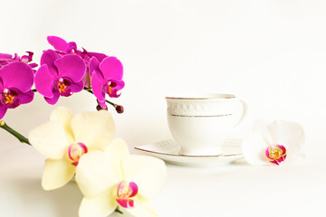 A white cup on a white saucer among white, cream and purple orchids