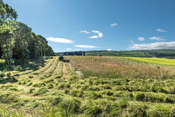 Tractor and grass cutter harvesting a field of hay