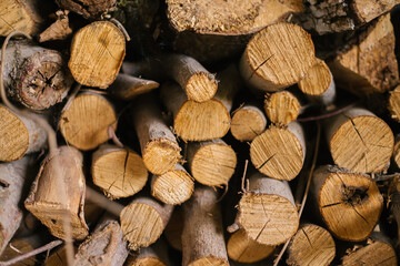 Logs stacked on top of each other. Firewood for kindling. Background and texture. Cut and cross-section of the tree.