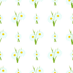 Seamless pattern with daisies. Beautiful wallpaper with flowers. Vector