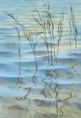 Water grass with reflections in the lake watercolor background