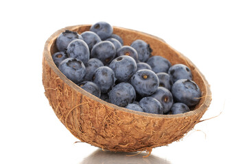Several berries of ripe dark purple blueberries in a coconut shell, close-up, isolated on white.