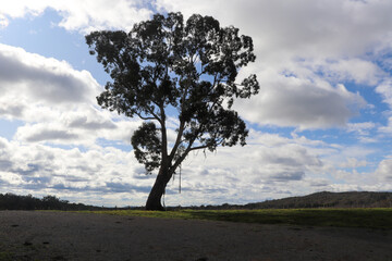 Fototapeta na wymiar Centennial Road, Bowral Southern Highlands NSW Australia Landscape Photography