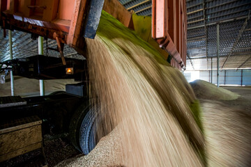 Agro manufacturing plant. Excavator with wheat grain in the elevator - granary warehouse. Harvest...
