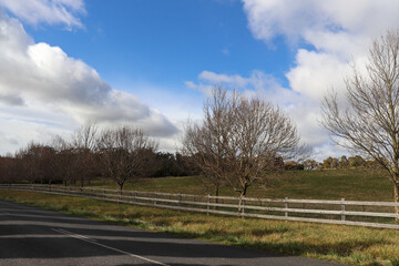 Centennial Road, Bowral Southern Highlands NSW Australia Landscape Photography