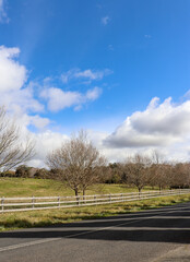 Centennial Road, Bowral Southern Highlands NSW Australia Landscape Photography