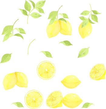 レモン Images Browse 30 196 Stock Photos Vectors And Video Adobe Stock