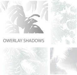 Set of shadows, overlay effects mock up, leaf of plants, natural interior light, vector illustration