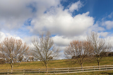 Centennial Road, Bowral Southern Highlands NSW Australia Landscape Photography
