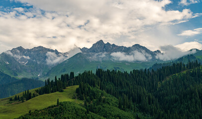 landscape with clouds, mountains and cypress forest