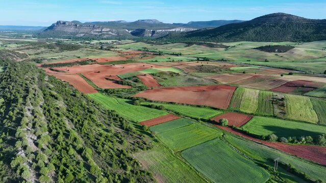 Sabina forests (Juniperus thurifera) and cultivated fields in the surroundings of the town of Hortigüela. Burgos, Castilla y Leon, Spain, Europe