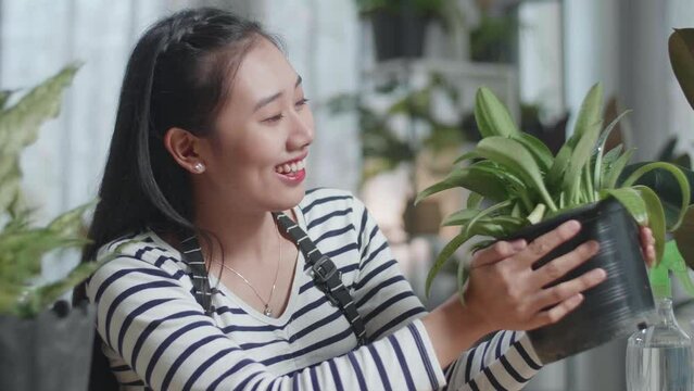 Close Up Side View Of Smiling Asian Woman Looking At The Plant In Hand And Shaking Her Head 
