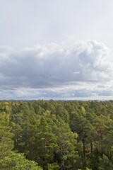 Fototapeta na wymiar View from Sunds Bird Watching Tower at Porkkala, Kirkkonummi, Finland.