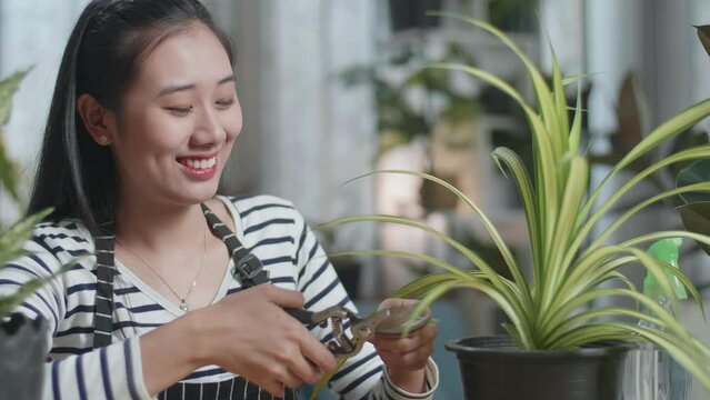 Close Up Of Smiling Asian Woman Trimming Plants At Home
