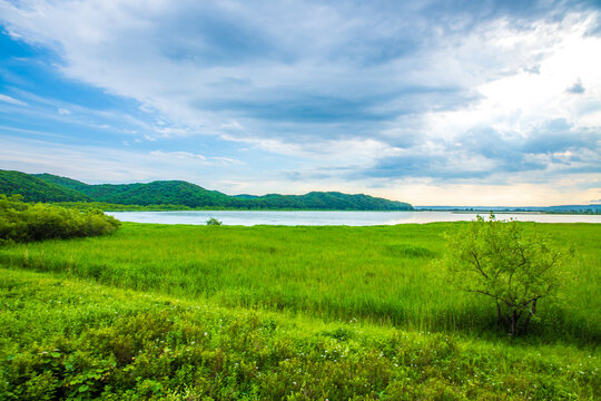 北海道　釧路湿原の風景　
