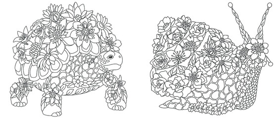 Turtle and snail coloring pages