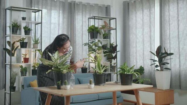 Smiling Asian Woman Holding Smartphone And Taking Photos Of Plants At Home
