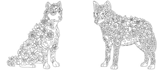 Husky dog and wolf coloring pages