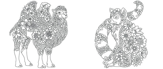Camel and lemur coloring pages