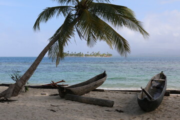 Fototapeta na wymiar beach with coconut palm