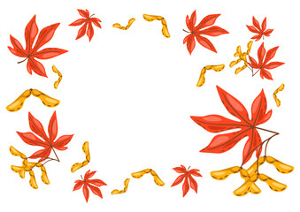 Fototapeta na wymiar Frame from maple leaves with seeds. Image of autumn plant.