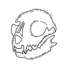 Cat skull in doodle style. Skull of a cat. Witchcraft, magic, skull, skeleton symbol. Esotericism. Vector sketch illustration on white background.