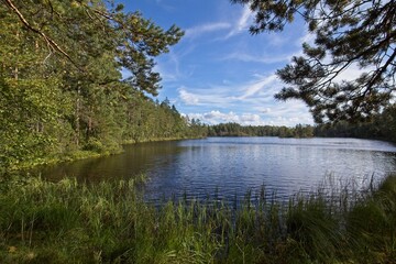 Fototapeta na wymiar View of lake in autumn at lake Saaren-Musta, Espoo, Finland.
