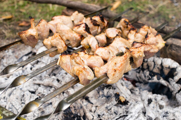 Kebab in skewers on the grill