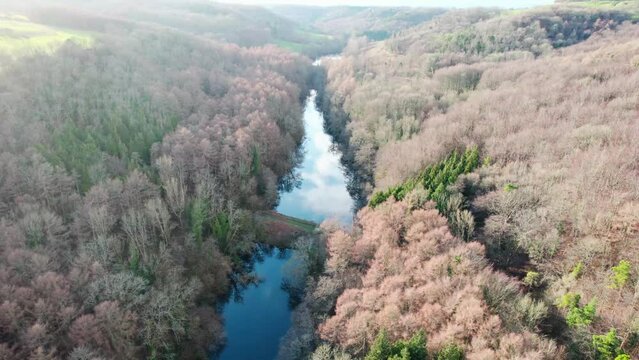 Kennel Pond, Stroud in Woodchester park between trees, aerial view