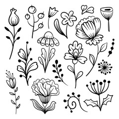 Floral elements set of doodles. Vector illustration isolated on white background.